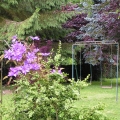 PICT0102.JPG.jpg