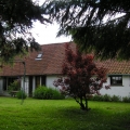PICT0116.JPG.jpg