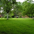 PICT0117.JPG.jpg